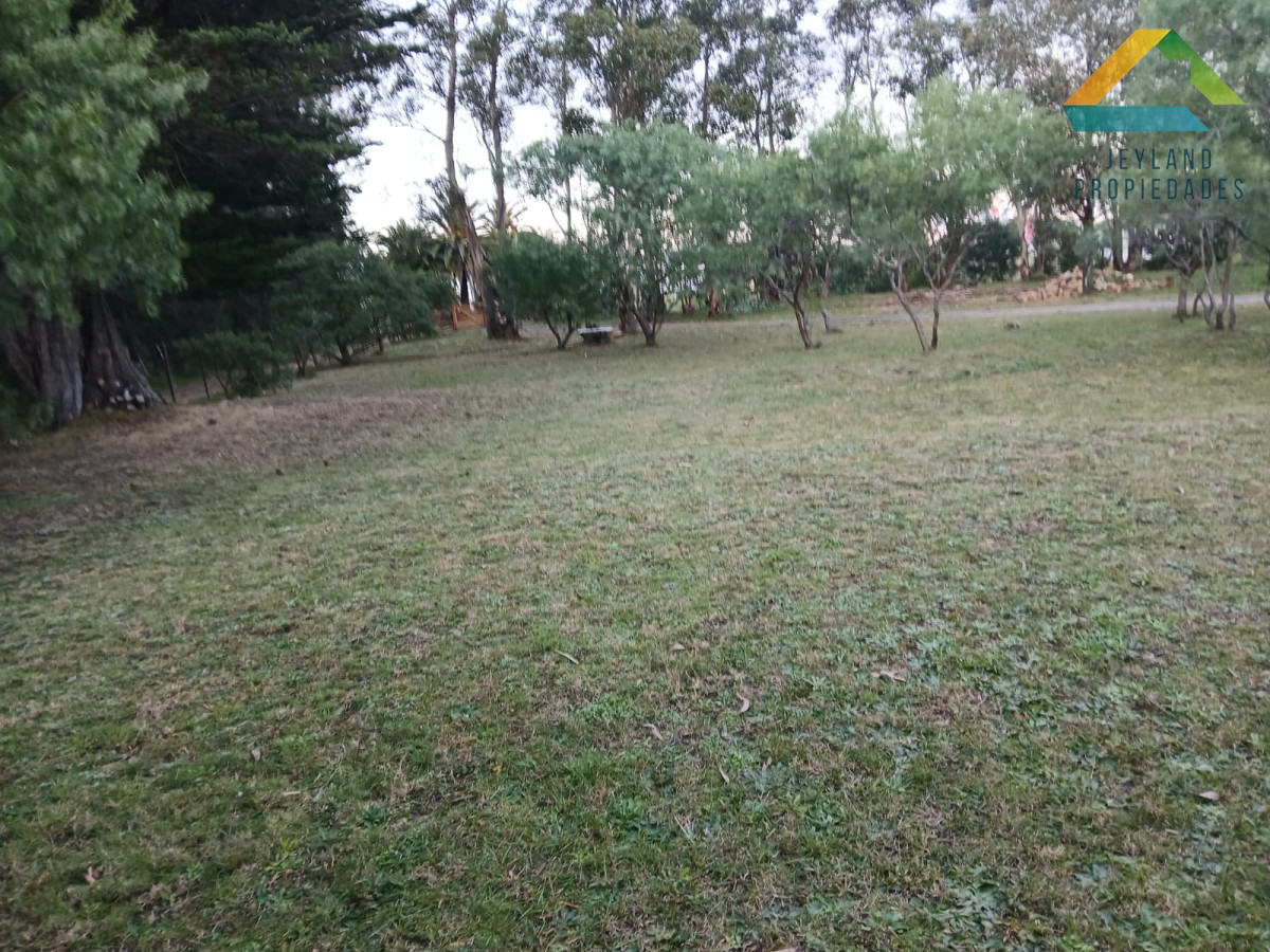 Chacra ID.187 - SE VENDE CHACRA DE 6,5 HECTAREAS CON CASA 