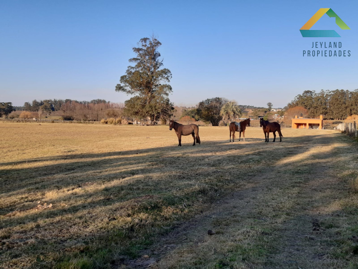 Chacra ID.427 - SE VENDE CHACRA ENTRE MALDONADO Y SAN CARLOS