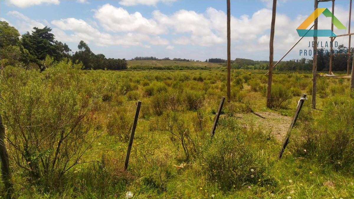 Chacra ID.313 - SE VENDE CHACRA EN LA RUTA 104 EN PRIMERA LINEA 