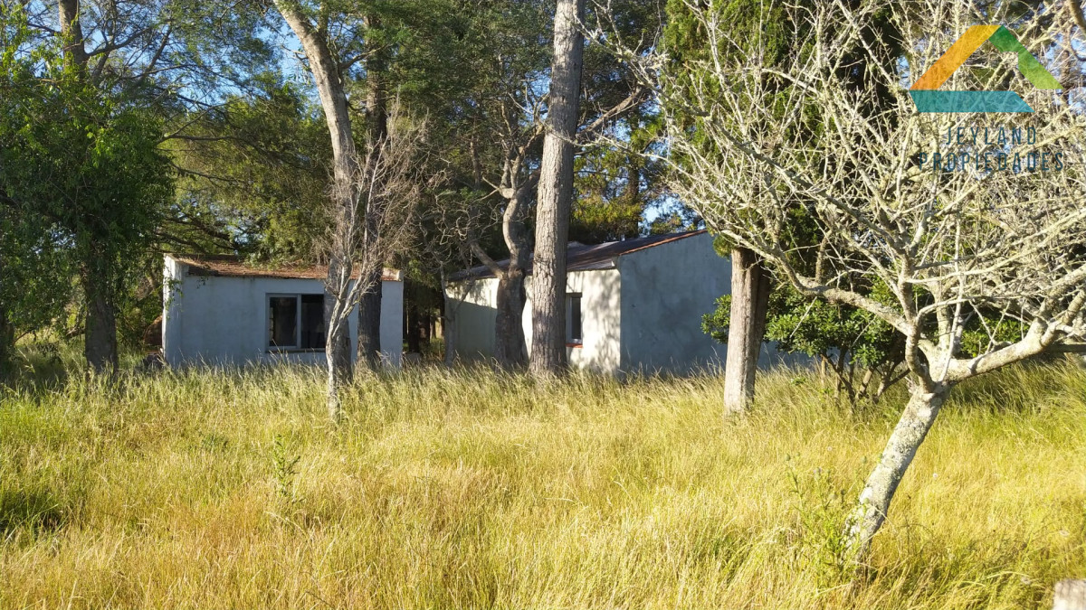 Chacra ID.321 - SE VENDE CHACRA DE 14 Hs. RUTA 39