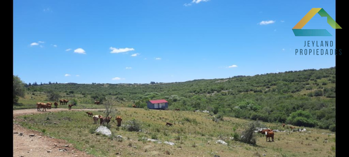 Chacra ID.287 - SE VENDE CHACRA EN SIERRAS DE CARAPE AIGUA