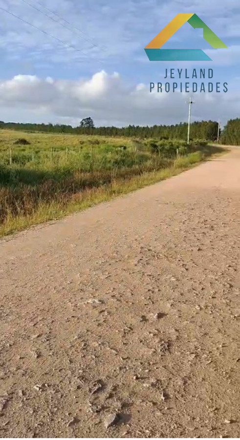 Chacra ID.348 - Chacra en venta - Camino Sierra de los Caracoles