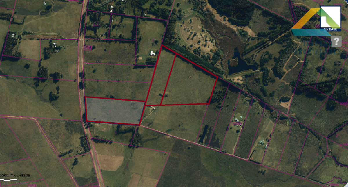 Chacra ID.333 - SE VENDE CHACRA DE 22 Hs. RUTA 104, 1° LINEA 