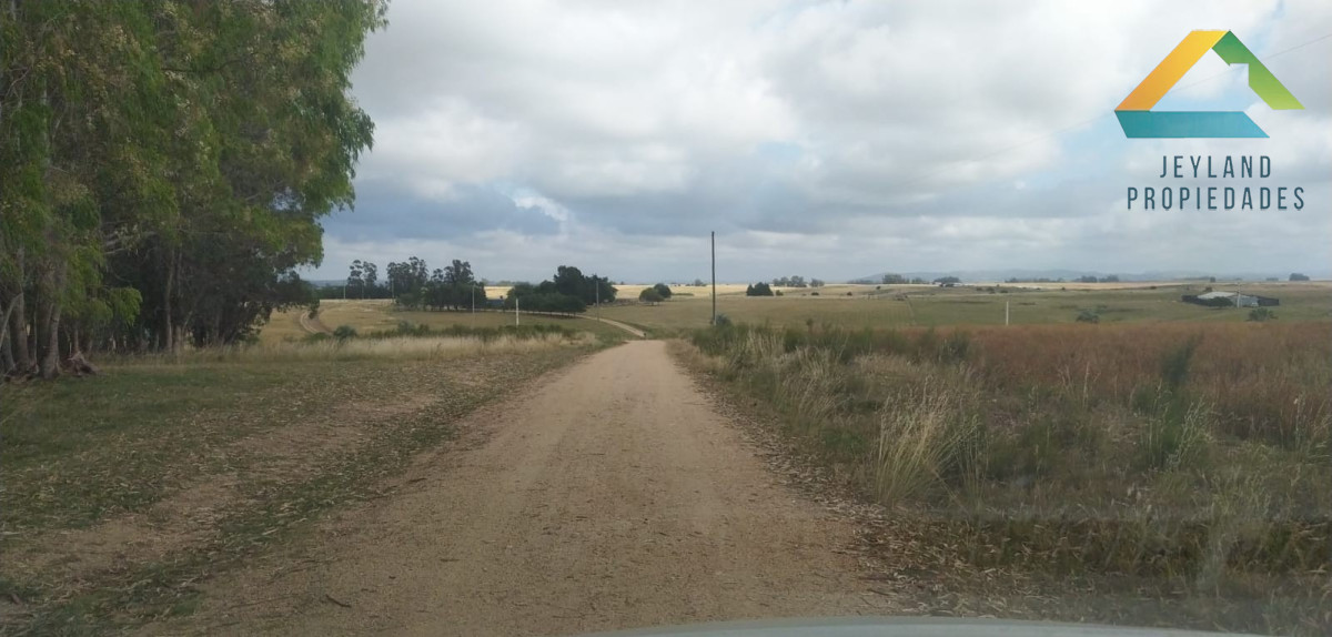 Chacra ID.329 - SE VENDE CHACRA ENTORNO A CAÑADA BELLACA 