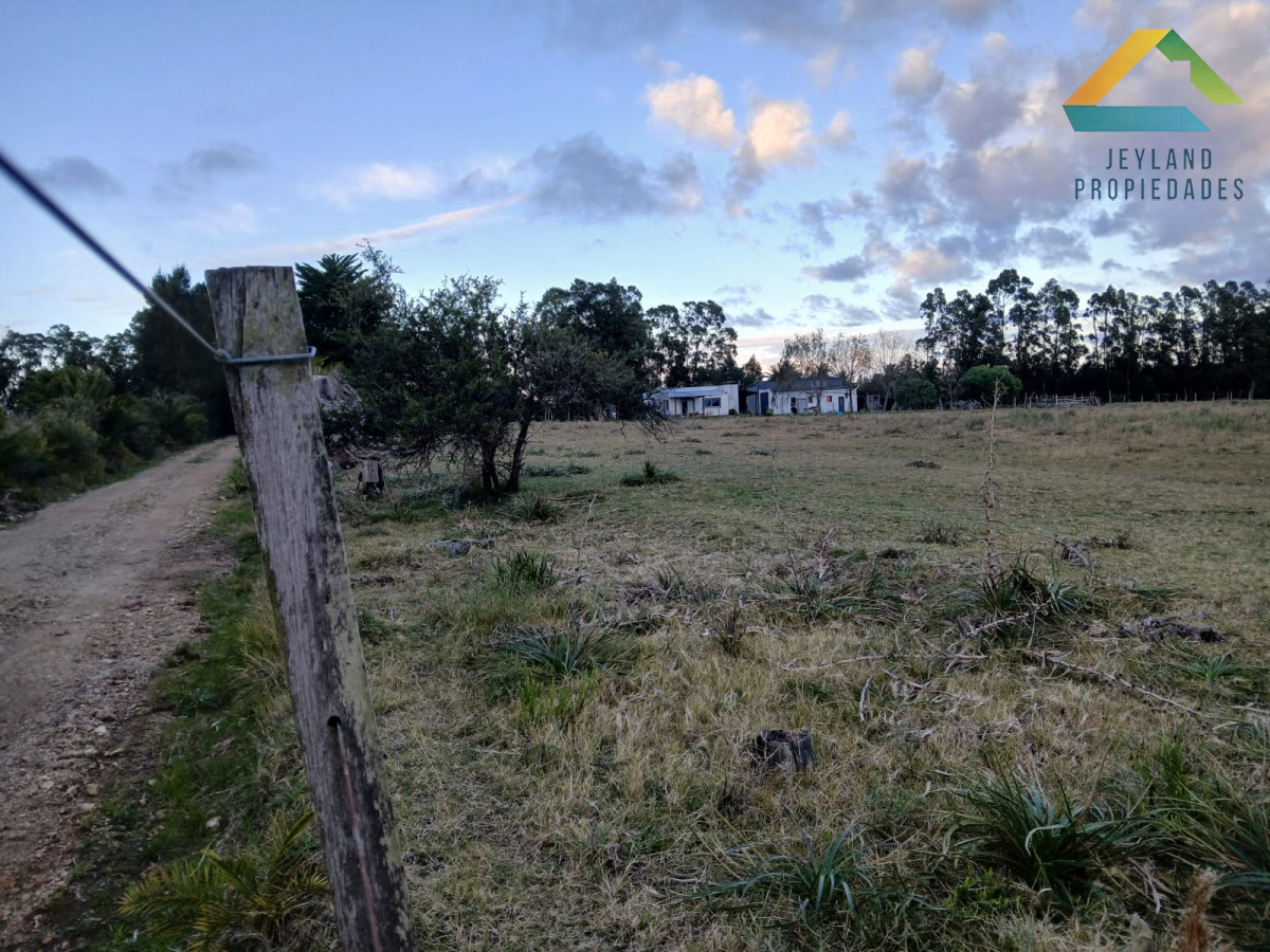 Chacra ID.187 - SE VENDE CHACRA DE 6,5 HECTAREAS CON CASA 