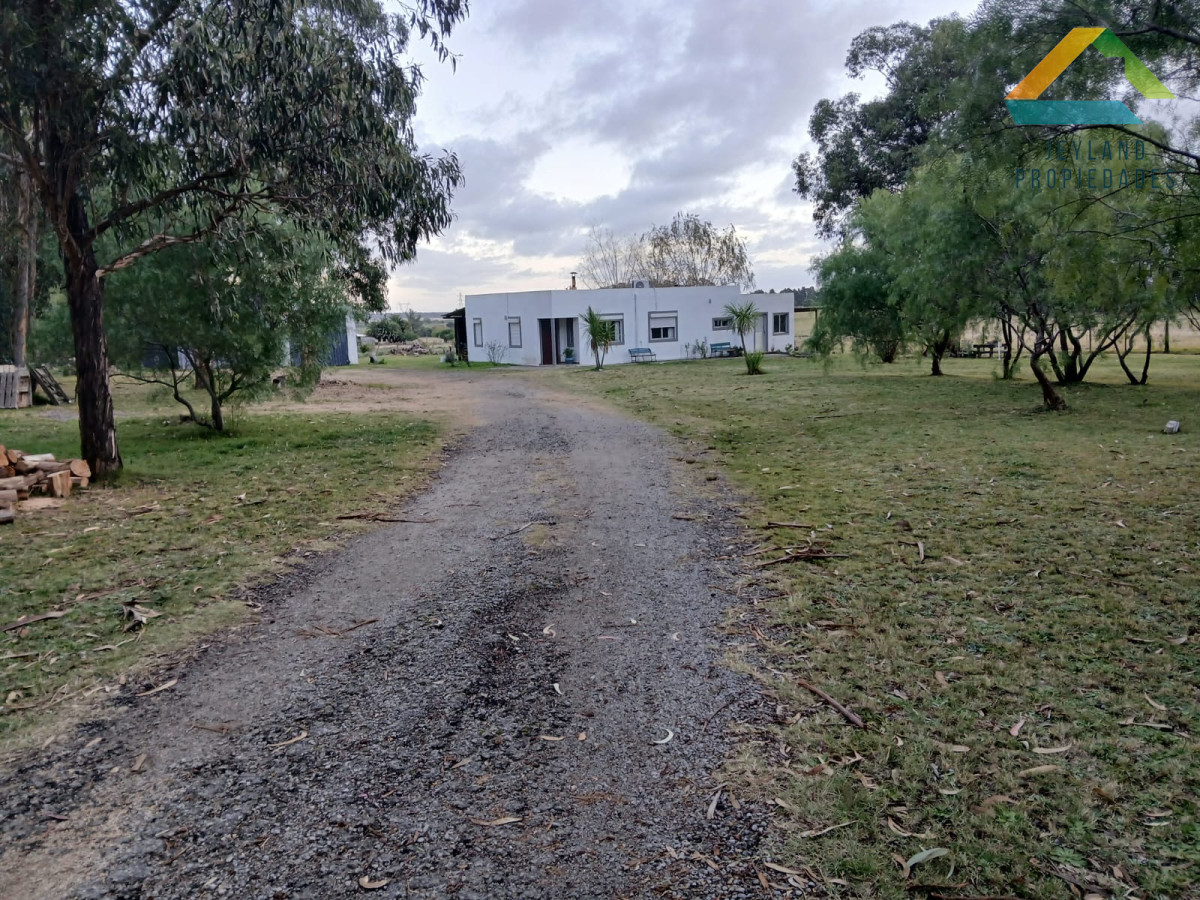 Chacra ID.187 - SE VENDE CHACRA DE 6,5 HECTAREAS CON CASA 