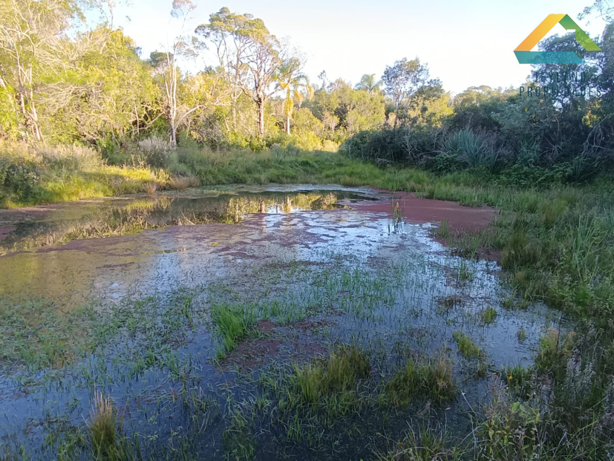 Chacra ID.218 - SE VENDE CHACRA DE CASI 7 HECTAREAS EN LAS CAÑAS 