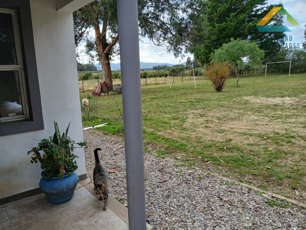 Chacra ID.187 - SE VENDE CHACRA DE 6,5 HECTAREAS CON CASA 