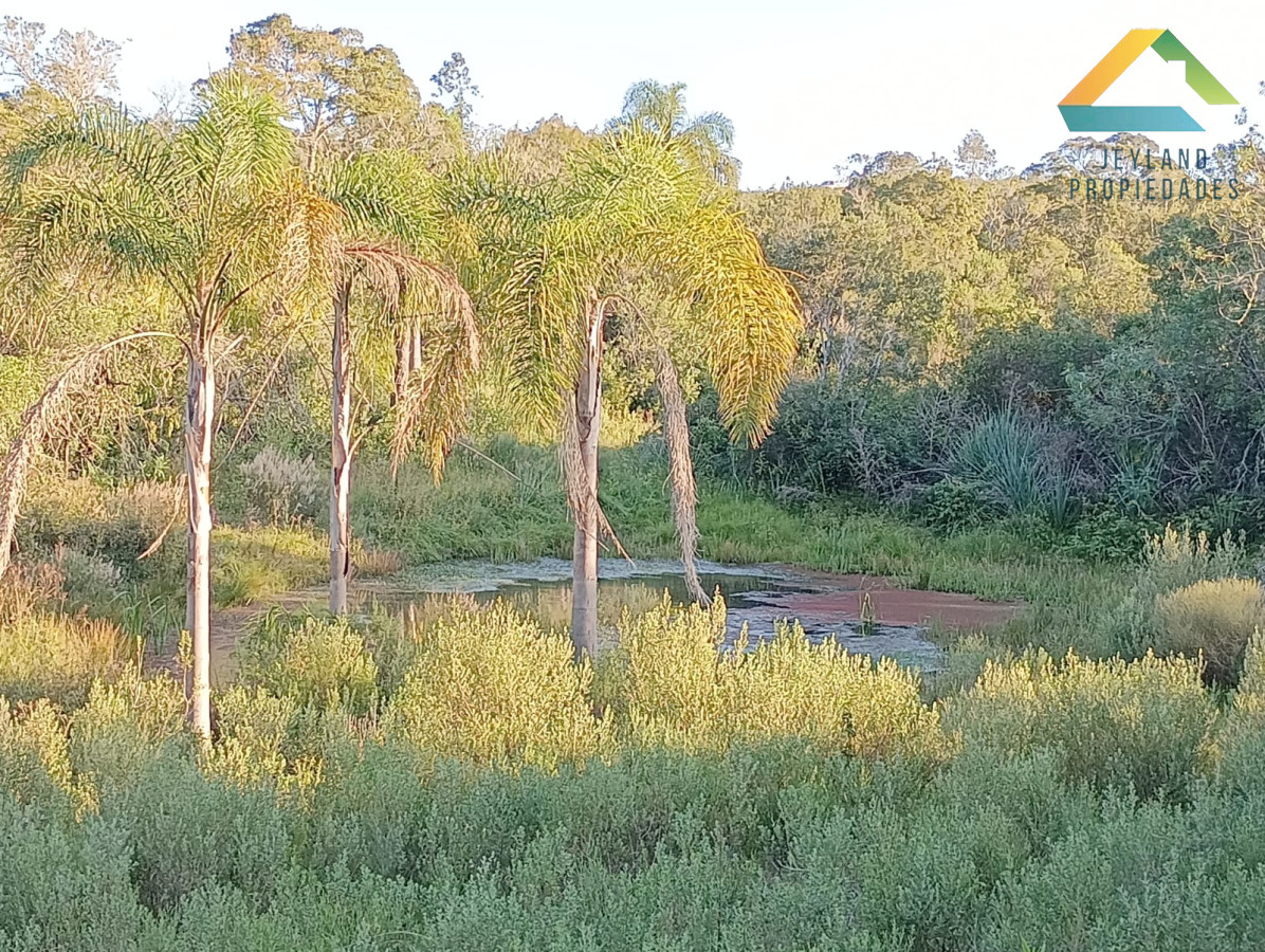 Chacra ID.218 - SE VENDE CHACRA DE CASI 7 HECTAREAS EN LAS CAÑAS 