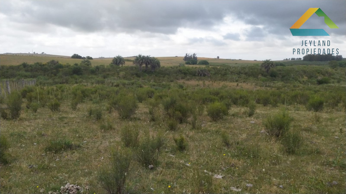 Chacra ID.329 - SE VENDE CHACRA ENTORNO A CAÑADA BELLACA 