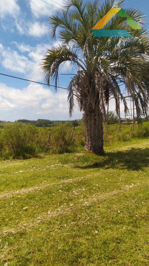 Chacra ID.313 - SE VENDE CHACRA EN LA RUTA 104 EN PRIMERA LINEA 