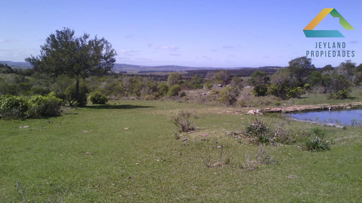 Chacra ID.218 - SE VENDE CHACRA DE CASI 7 HECTAREAS EN LAS CAÑAS 