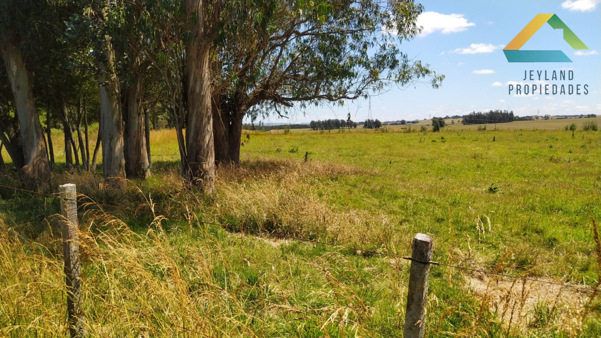 Chacra ID.317 - SE VENDE CHACRA DE 10 HECTAREAS RUTA 104 