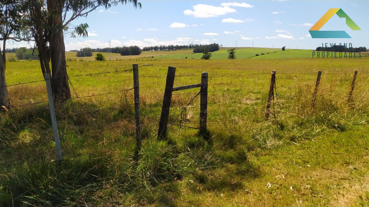 Chacra ID.317 - SE VENDE CHACRA DE 10 HECTAREAS RUTA 104 