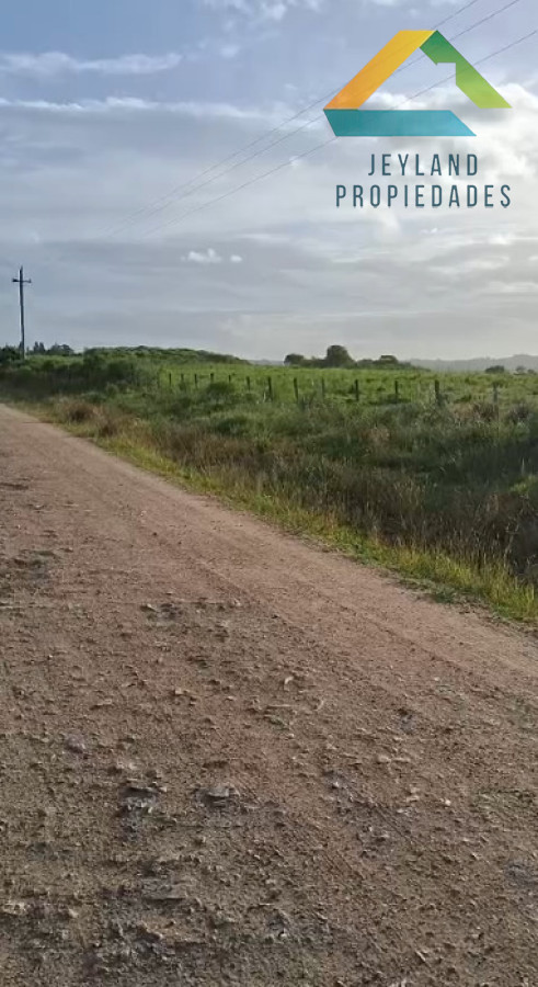 Chacra ID.348 - Chacra en venta - Camino Sierra de los Caracoles