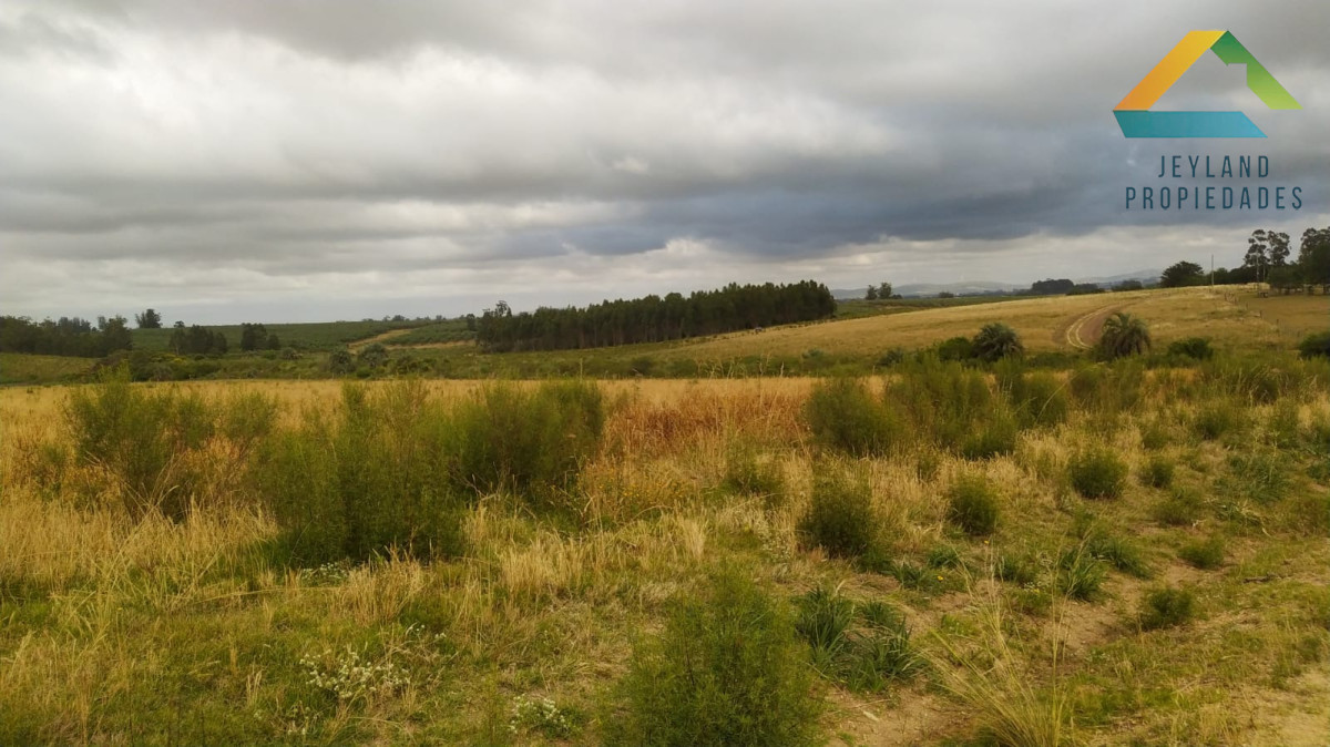 Chacra ID.329 - SE VENDE CHACRA ENTORNO A CAÑADA BELLACA 