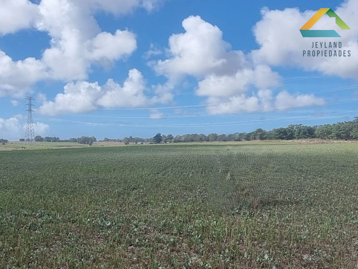 Chacra ID.317 - SE VENDE CHACRA DE 10 HECTAREAS RUTA 104 