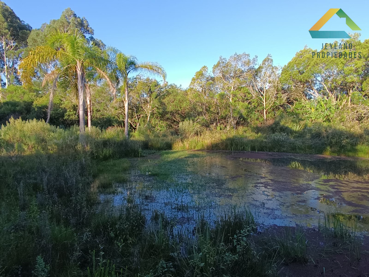 Chacra ID.218 - SE VENDE CHACRA DE CASI 7 HECTAREAS EN LAS CAÑAS 