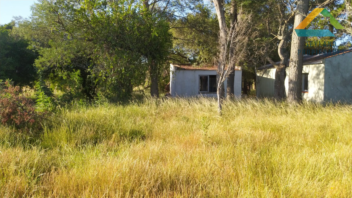 Chacra ID.321 - SE VENDE CHACRA DE 14 Hs. RUTA 39