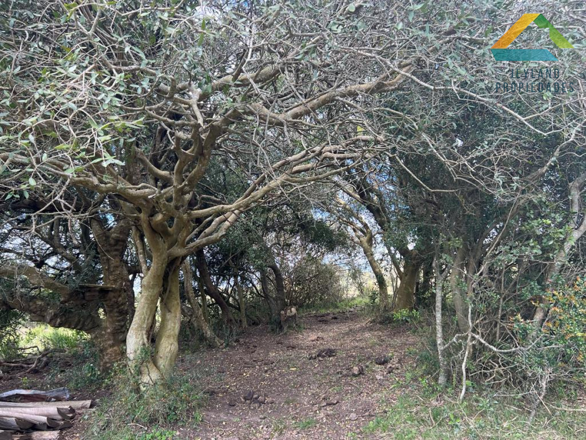 Chacra ID.287 - SE VENDE CHACRA EN SIERRAS DE CARAPE AIGUA