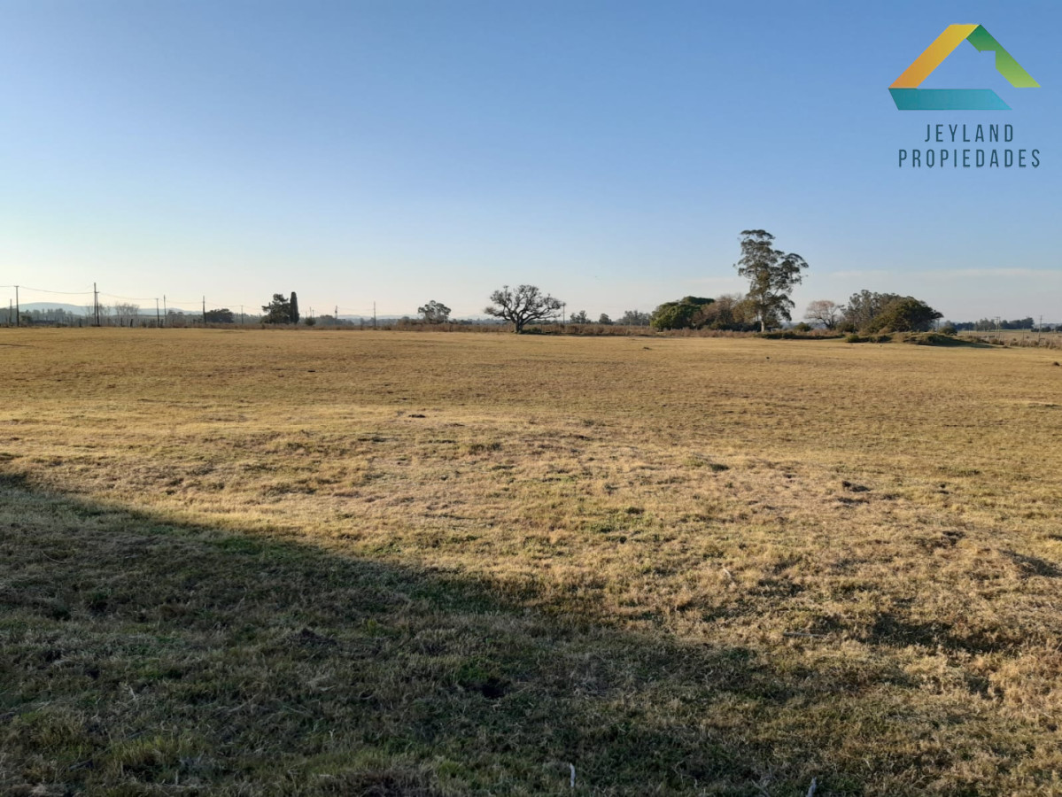 Chacra ID.427 - SE VENDE CHACRA ENTRE MALDONADO Y SAN CARLOS