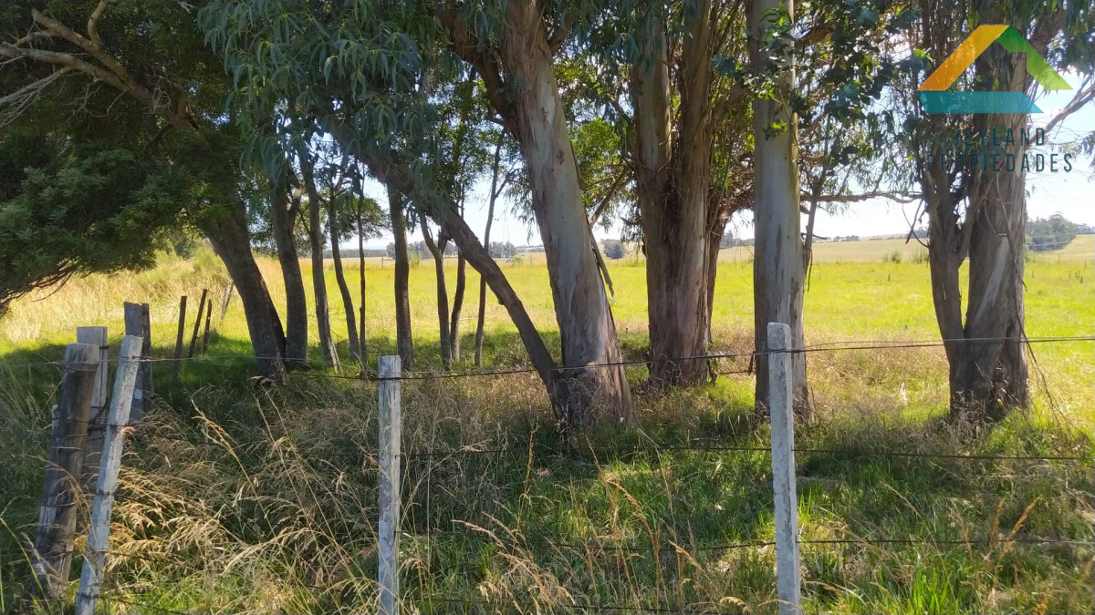 Chacra ID.317 - SE VENDE CHACRA DE 10 HECTAREAS RUTA 104 