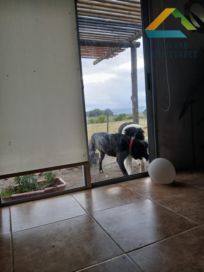 Chacra ID.187 - SE VENDE CHACRA DE 6,5 HECTAREAS CON CASA 
