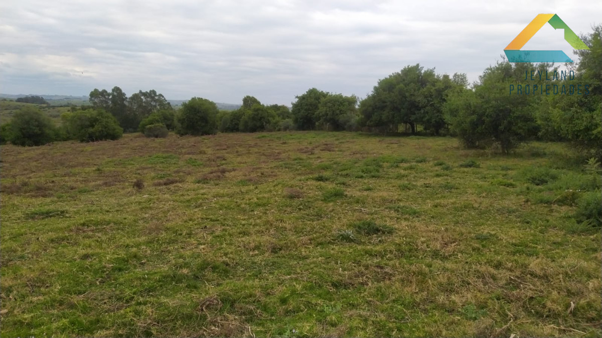 Chacra ID.290 - SE VENDE CHACRA DE 6 HECTAREAS EN PUEBLO EDEN 