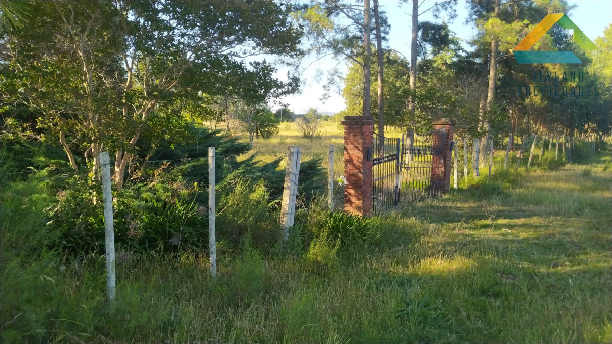 Chacra ID.321 - SE VENDE CHACRA DE 14 Hs. RUTA 39