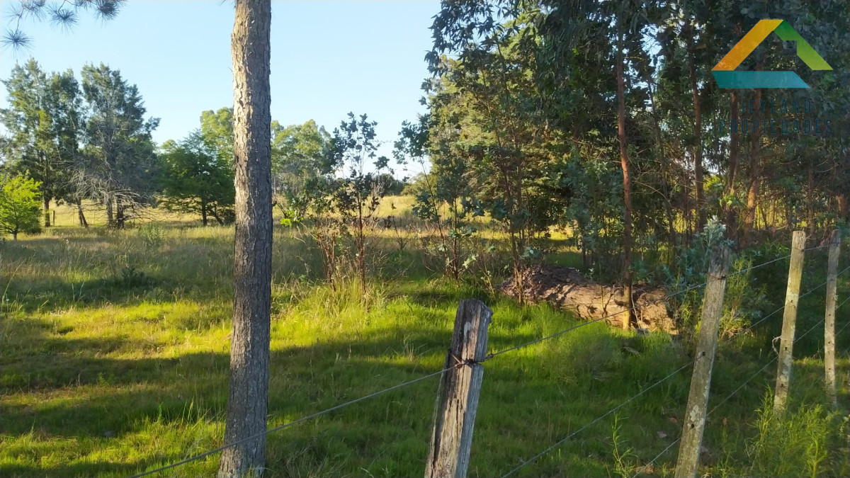 Chacra ID.321 - SE VENDE CHACRA DE 14 Hs. RUTA 39