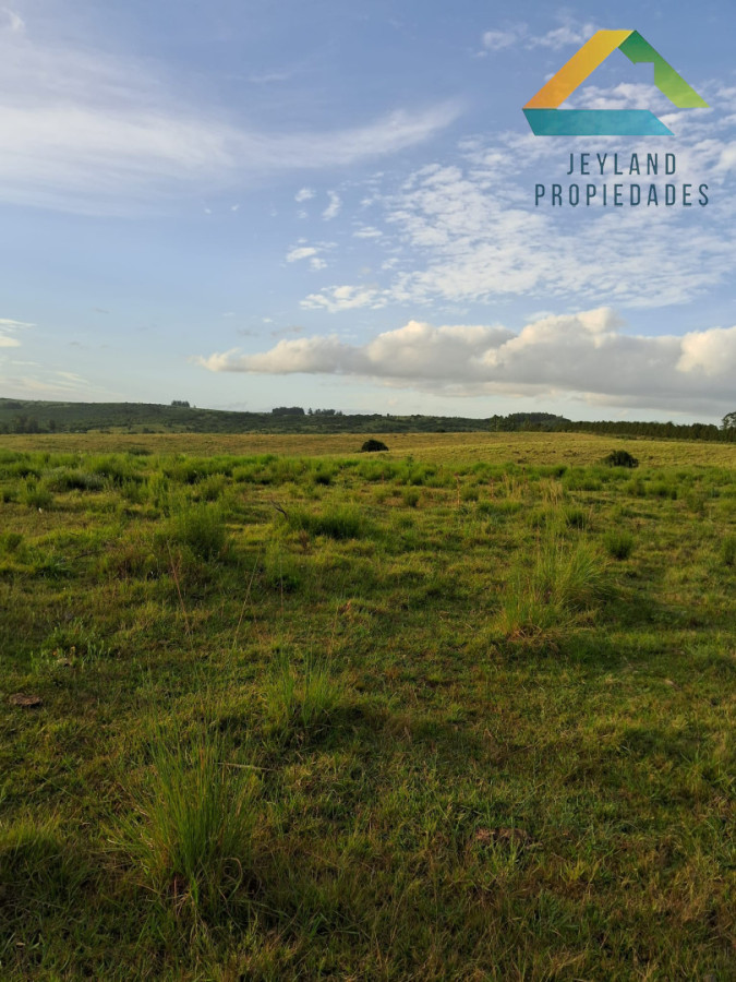 Chacra ID.348 - Chacra en venta - Camino Sierra de los Caracoles