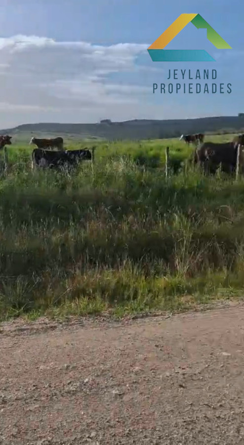 Chacra ID.348 - Chacra en venta - Camino Sierra de los Caracoles