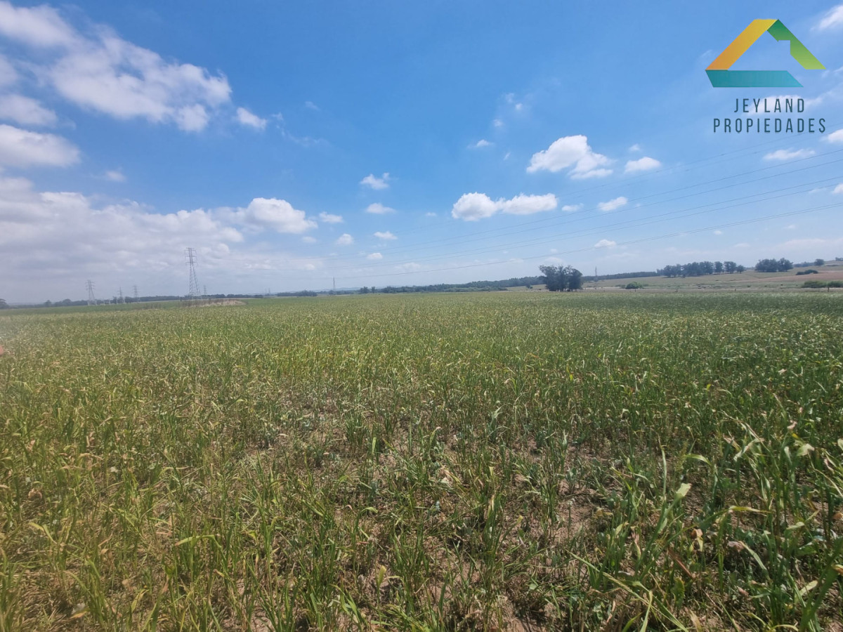 Chacra ID.317 - SE VENDE CHACRA DE 10 HECTAREAS RUTA 104 