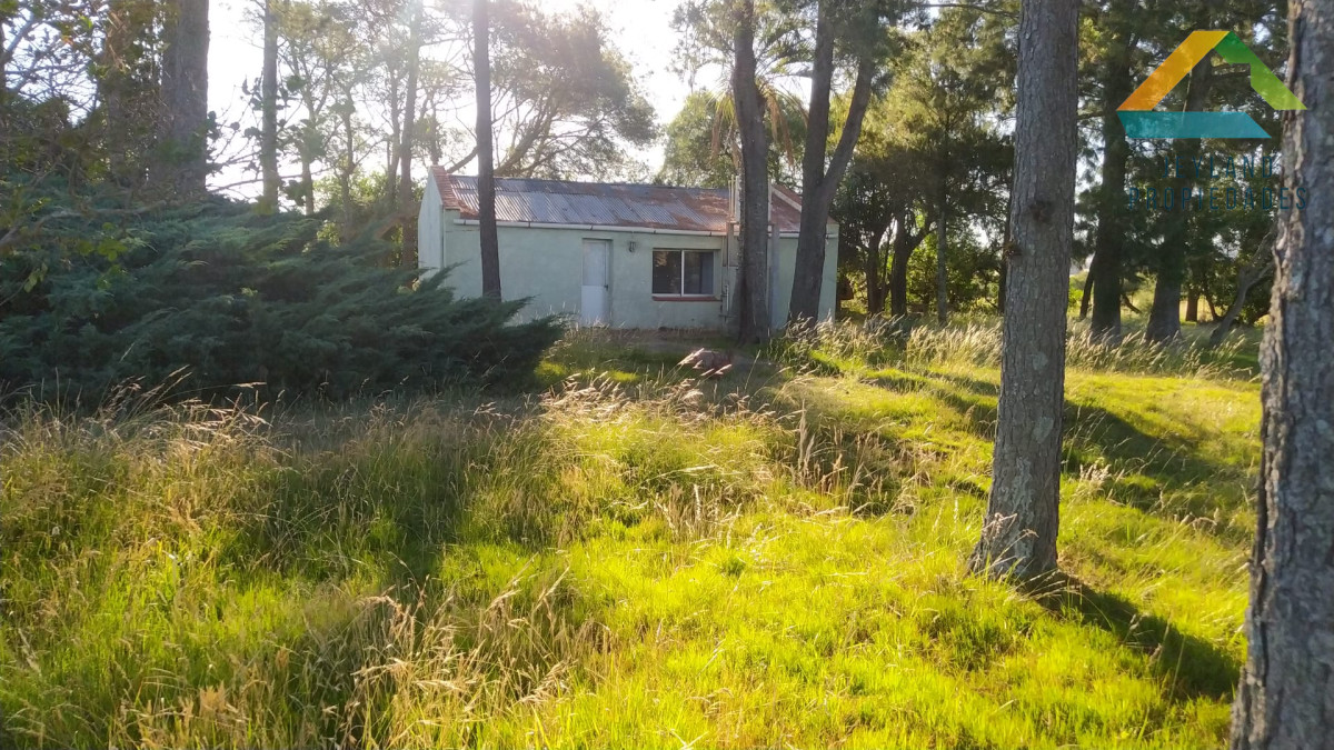 Chacra ID.321 - SE VENDE CHACRA DE 14 Hs. RUTA 39