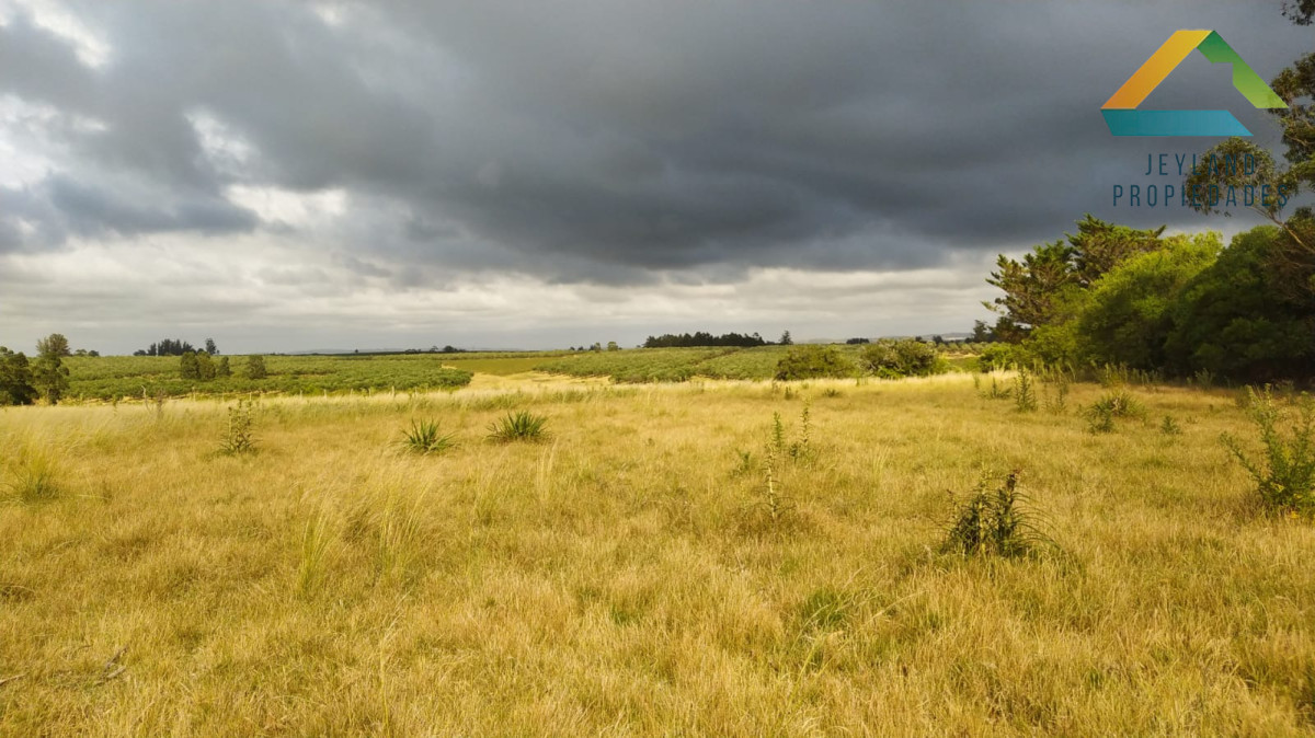 Chacra ID.329 - SE VENDE CHACRA ENTORNO A CAÑADA BELLACA 