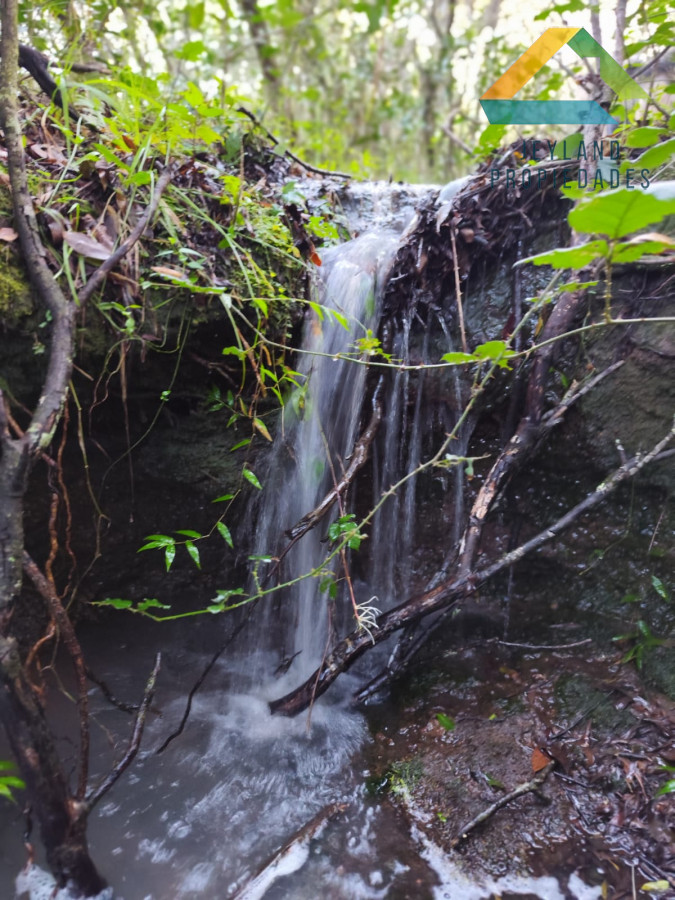 Chacra ID.218 - SE VENDE CHACRA DE CASI 7 HECTAREAS EN LAS CAÑAS 