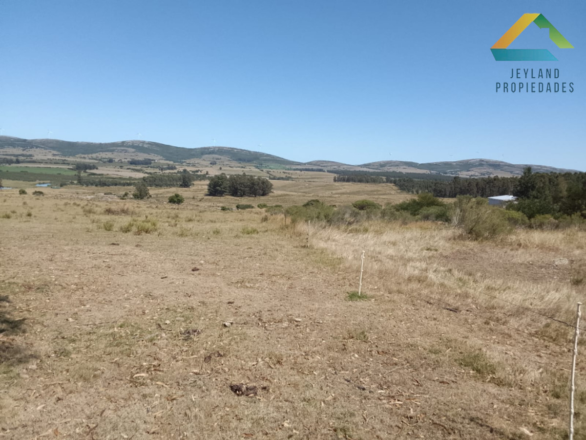 Chacra ID.397 - SE VENDE CHACRA 22Ha LOS CARACOLES 