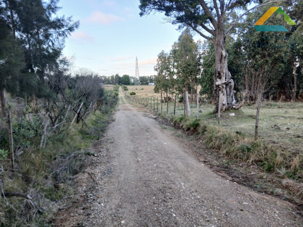 Chacra ID.187 - SE VENDE CHACRA DE 6,5 HECTAREAS CON CASA 