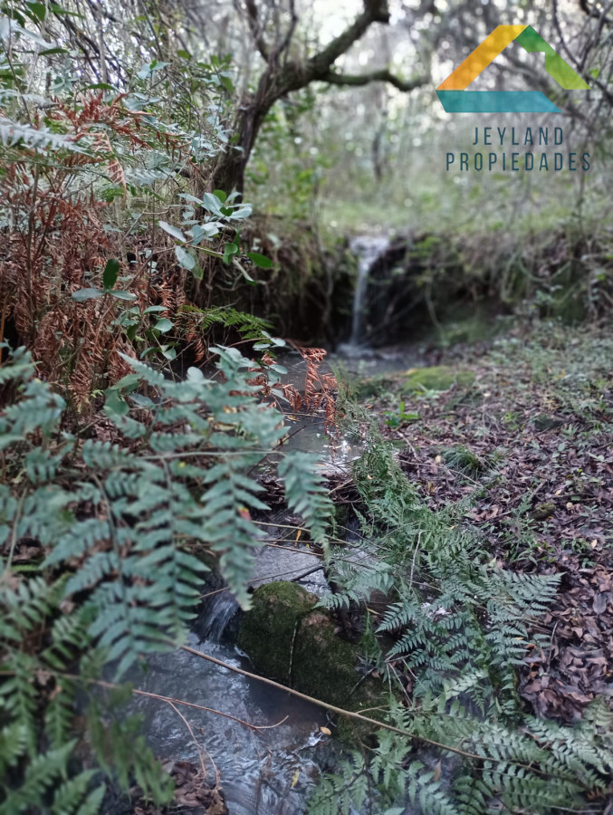 Chacra ID.218 - SE VENDE CHACRA DE CASI 7 HECTAREAS EN LAS CAÑAS 