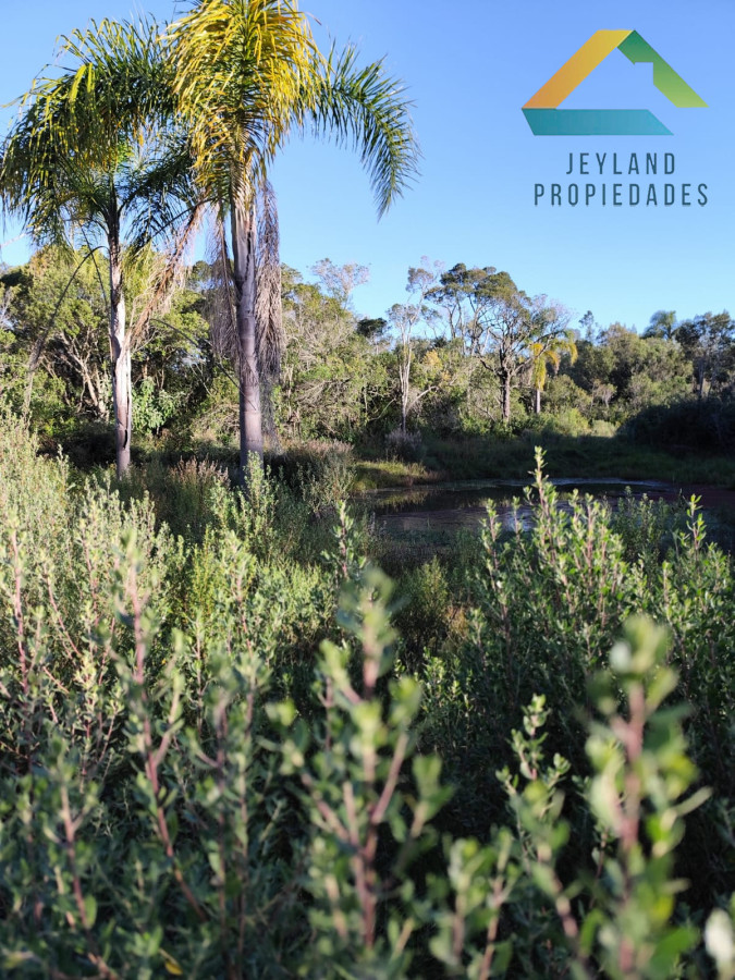 Chacra ID.218 - SE VENDE CHACRA DE CASI 7 HECTAREAS EN LAS CAÑAS 
