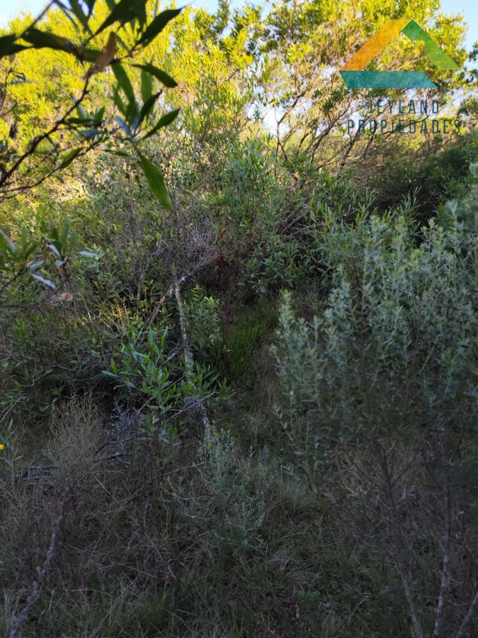 Chacra ID.218 - SE VENDE CHACRA DE CASI 7 HECTAREAS EN LAS CAÑAS 
