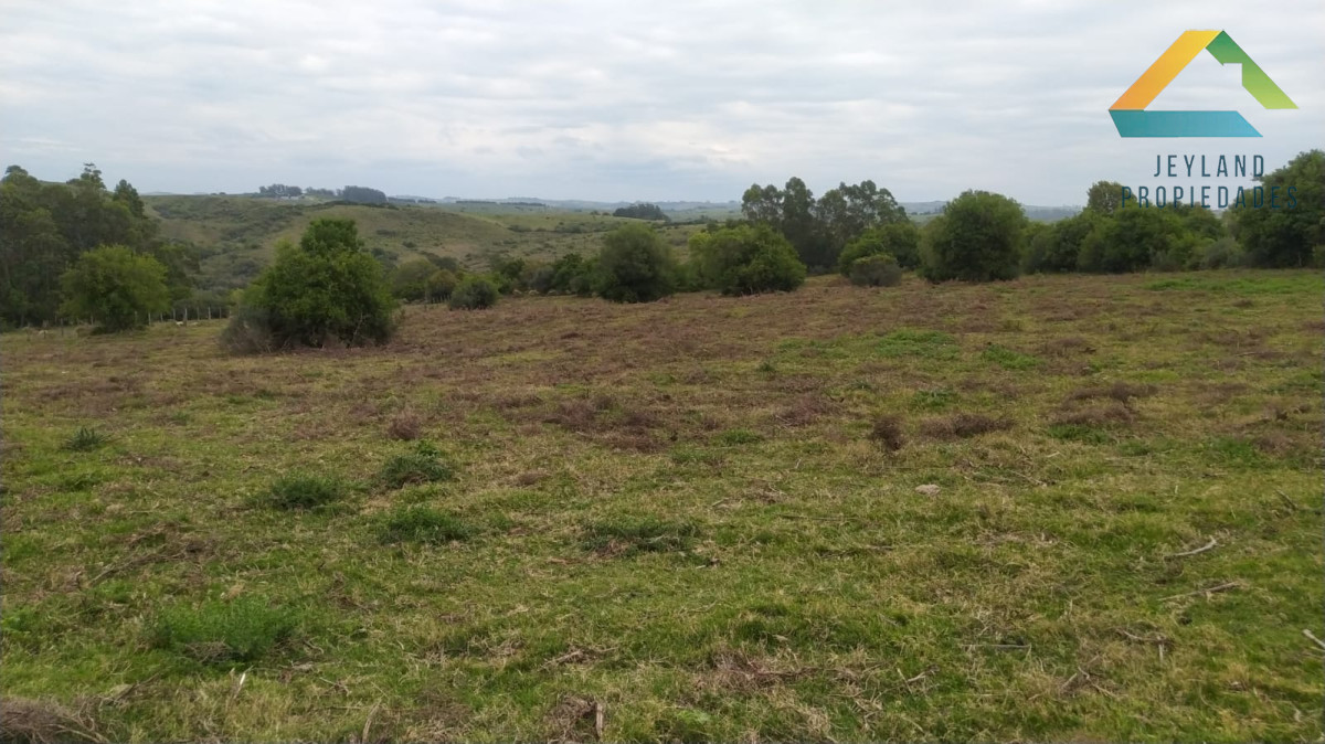 Chacra ID.290 - SE VENDE CHACRA DE 6 HECTAREAS EN PUEBLO EDEN 