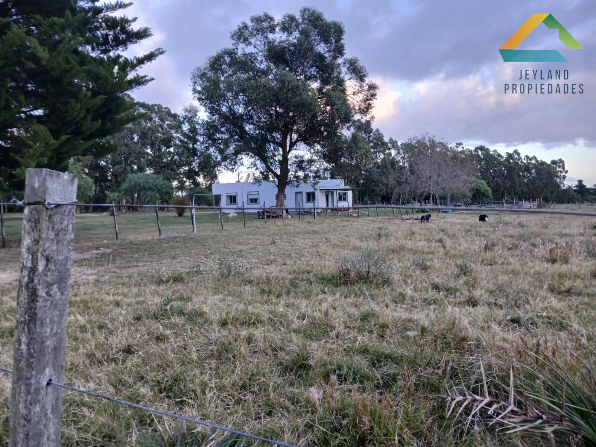 Chacra ID.187 - SE VENDE CHACRA DE 6,5 HECTAREAS CON CASA 