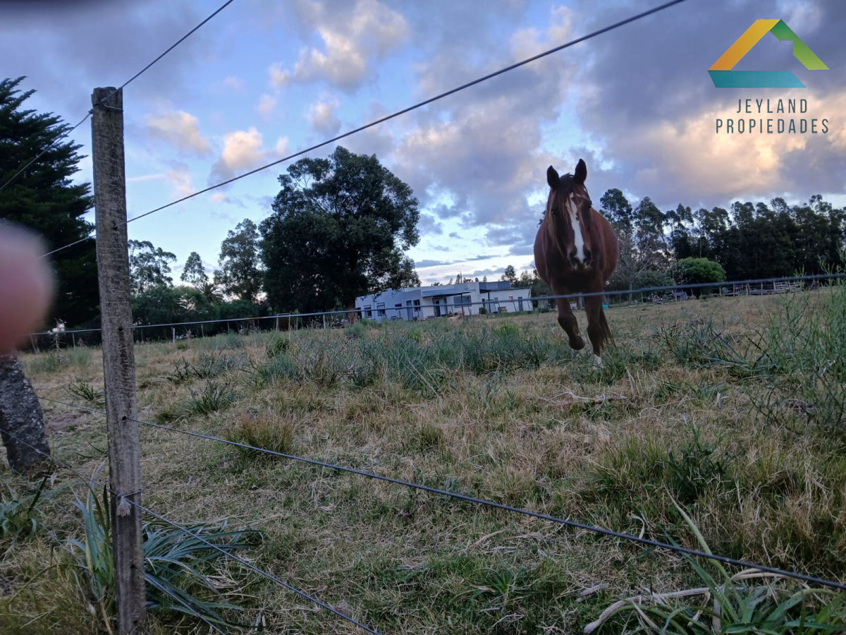 Chacra ID.187 - SE VENDE CHACRA DE 6,5 HECTAREAS CON CASA 