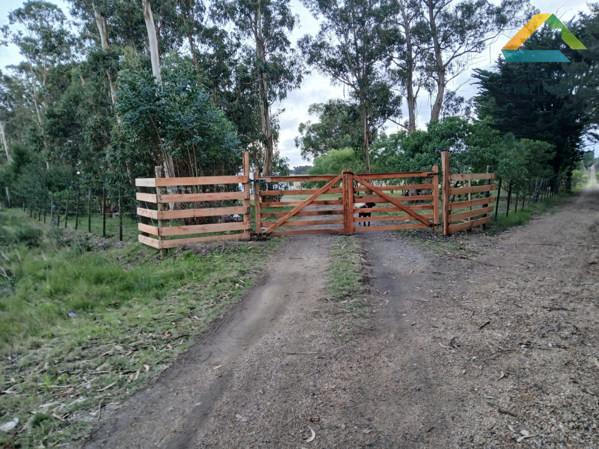 Chacra ID.187 - SE VENDE CHACRA DE 6,5 HECTAREAS CON CASA 