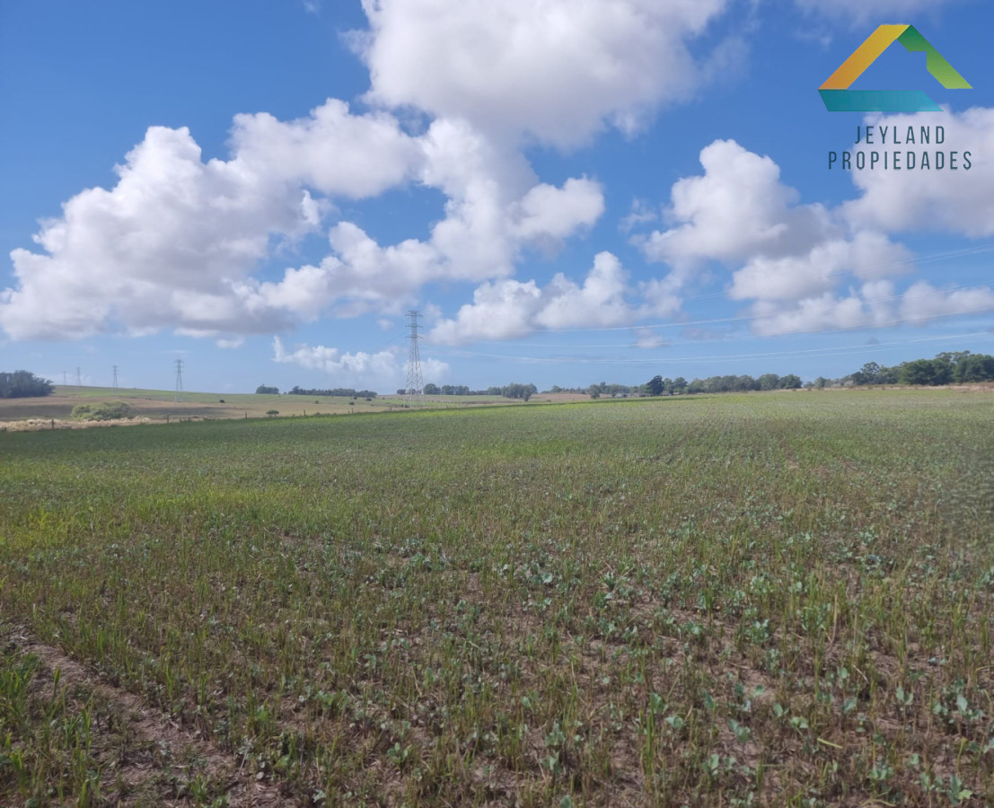 Chacra ID.317 - SE VENDE CHACRA DE 10 HECTAREAS RUTA 104 