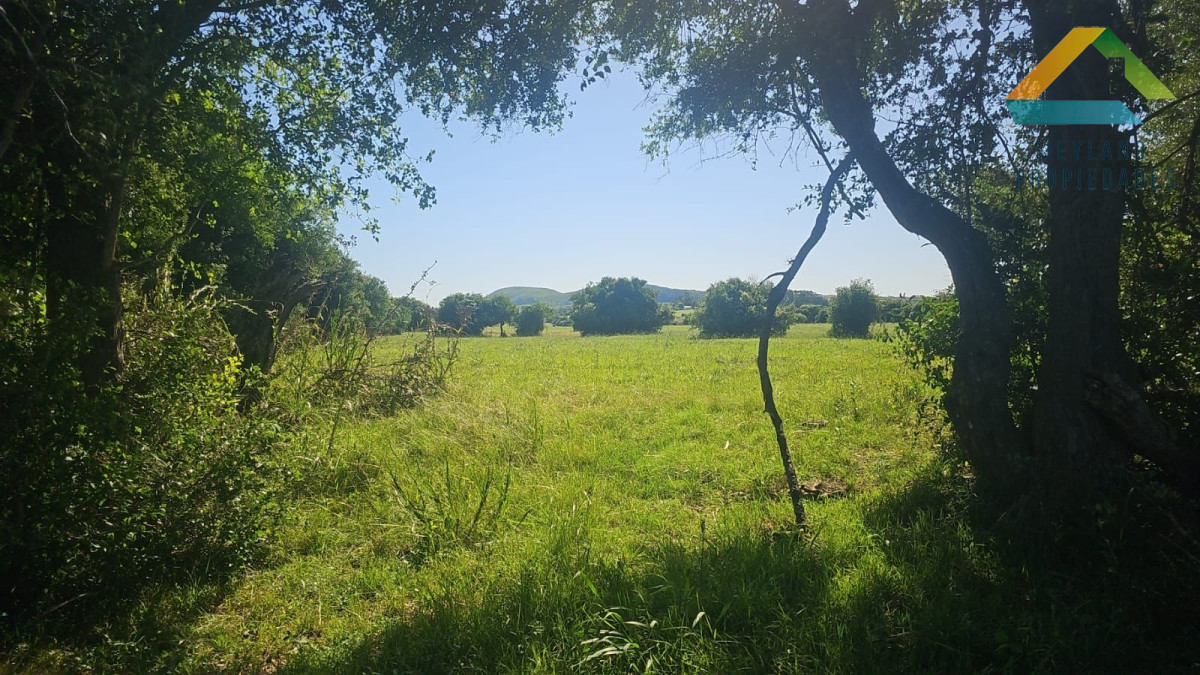 Chacra ID.60 - SE VENDE CHACRA CON CONSTRUCCION PUEBLO EDEN 11 HAS