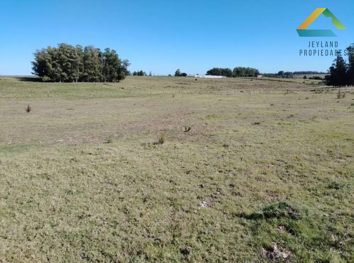 Chacra ID.79 - SE VENDE  CHACRA DE 5H A PASOS DE SAN CARLOS