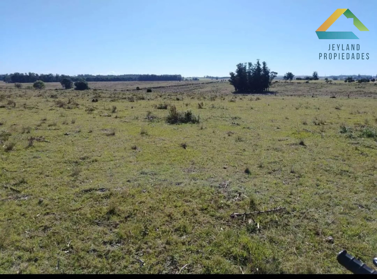 Chacra ID.79 - SE VENDE  CHACRA DE 5H A PASOS DE SAN CARLOS