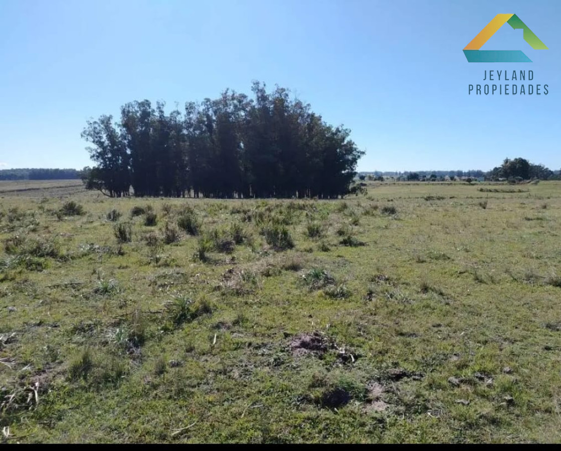 Chacra ID.79 - SE VENDE  CHACRA DE 5H A PASOS DE SAN CARLOS